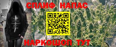 бошки Донецк
