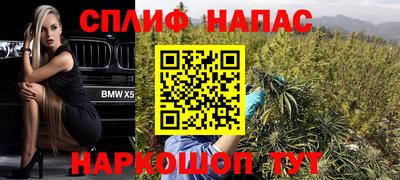 хмурый Донской