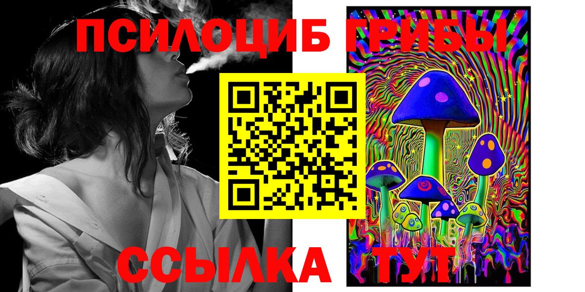 Псилоцибиновые грибы Psilocybe Ливны