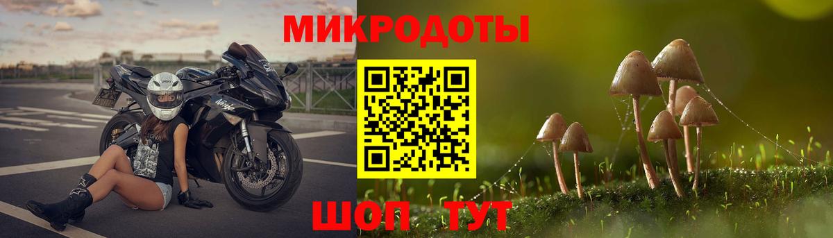 Ливны  дарнет шоп  Вход с VPN  Псилоцибиновые грибы Psilocybe 